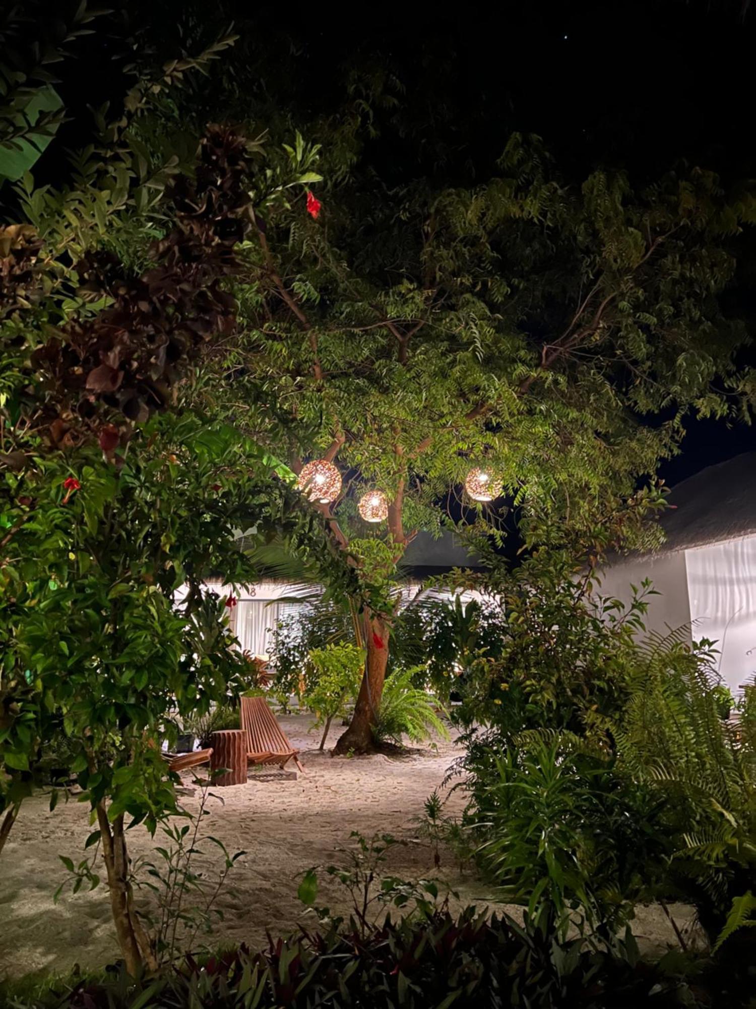 Coco Villa Thoddoo Exterior foto