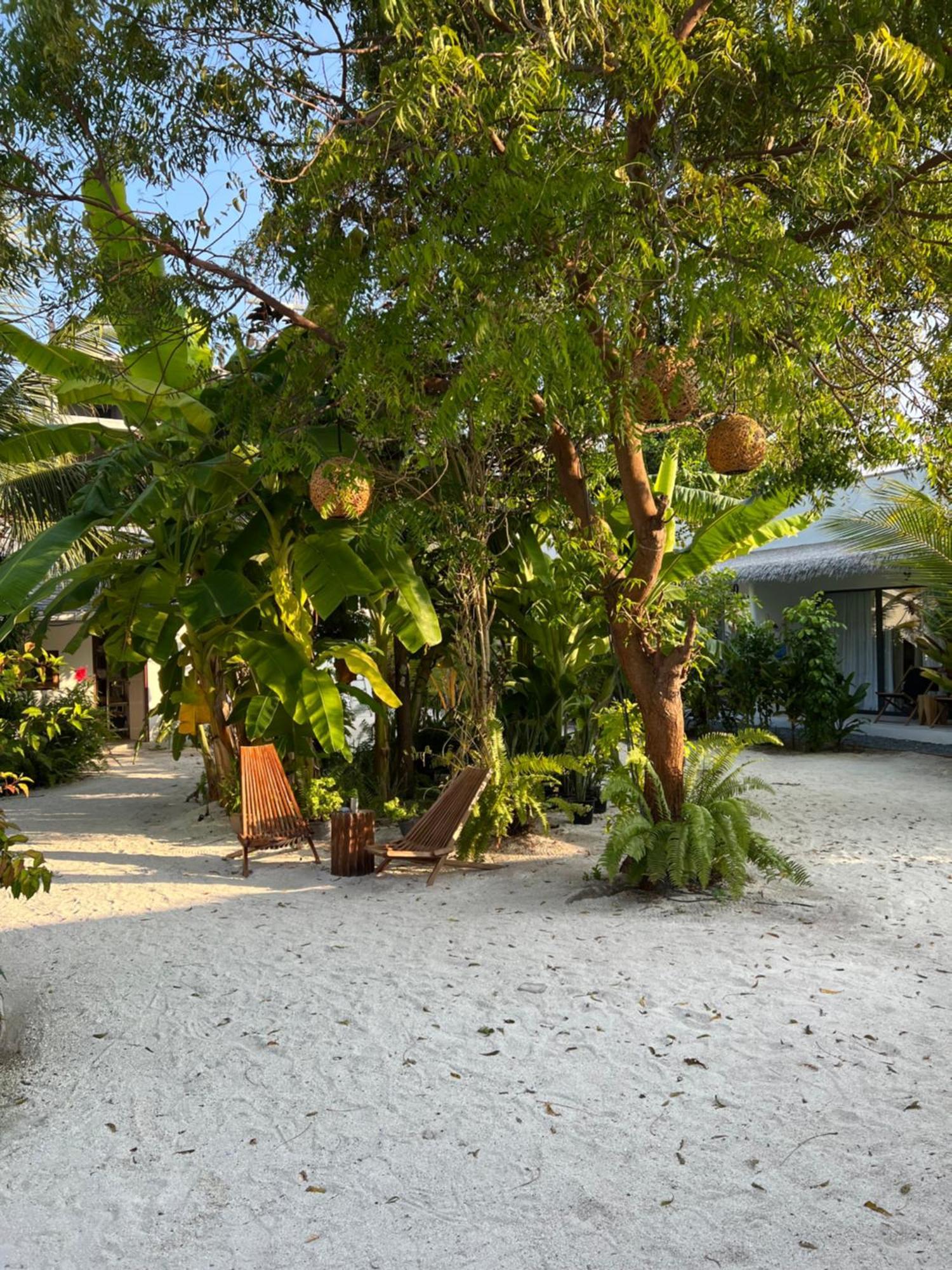 Coco Villa Thoddoo Exterior foto